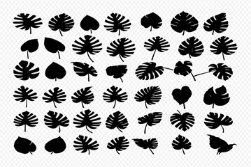 Collection of black silhouette illustrations of various Monstera leaves in different shapes and sizes, arranged on a transparent background.