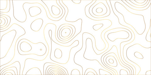 Abstract lines background. Contour maps. Vector illustration. The stylized height of the topographic map contour in lines and contours isolated on transparent. technology topo landscape grid map text	