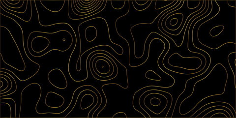 Abstract lines background. Contour maps. Vector illustration. The stylized height of the topographic map contour in lines and contours isolated on transparent. technology topo landscape grid map text	