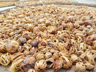 Sun-Drying Nutmeg and Mace: Traditional Spice Processing at Its Finest