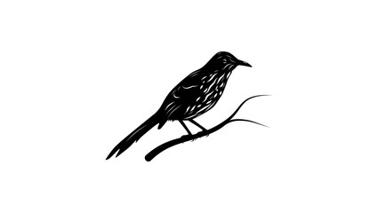 Mimid symbol ,black isolated silhouette