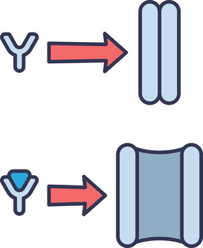 Diagram of ligand-gated ion channel activation. A ligand binds to a receptor, causing the channel to open. Compares the closed (top) and open (bottom) states.