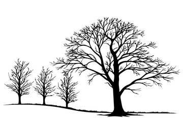 autumn season, trees without leaves, leaf silhouette