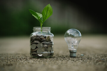 A glowing light bulb with a plant inside symbolizes innovation, sustainability, and eco-friendly...