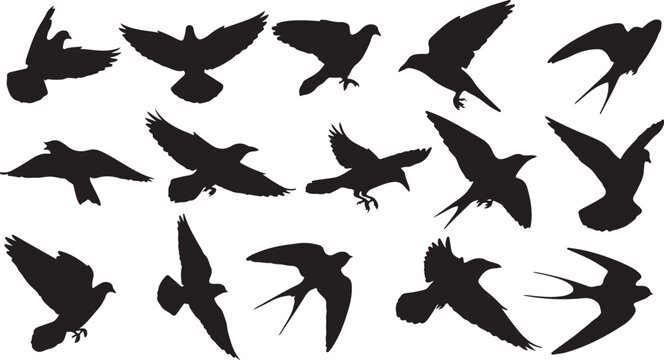 Collection of silhouetted birds in flight isolated on transparent background