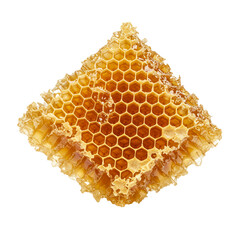 Piece of honeycomb showcasing the natural sweetness of fresh honey.