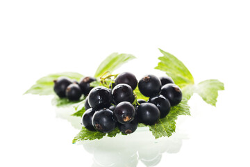 ripe large blackcurrant berry isolated on white background