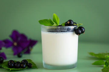 Blackcurrant and homemade yogurt in a transparent glass on a green background