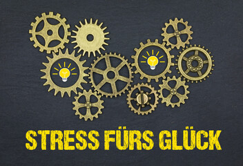 Stress fürs Glück	
