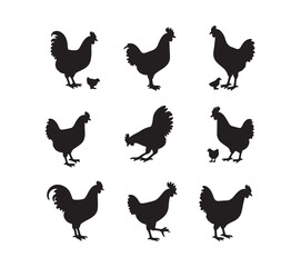  A complete collection of chicken, rooster, and chick silhouettes in different standing, walking, and pecking positions, perfect for farm-themed and poultry design elements.