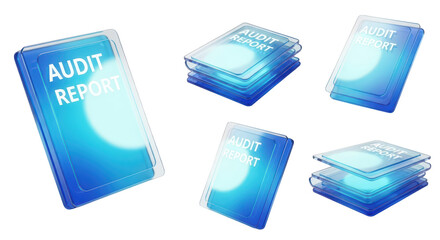 5 audit reports displayed on a clean white background with blue transparency showing financial data for business use