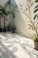 Obraz premium Serene Indoor Space with Plants and Beautiful Shadow Play