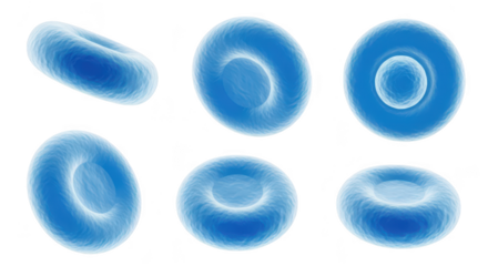 3D rendered microscopic blood cells floating in space with a white background suitable for medical or scientific illustrations