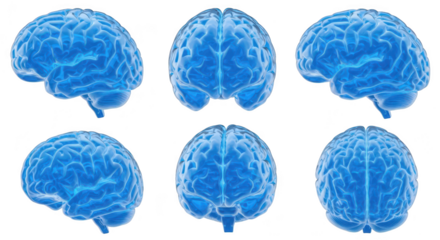Blue glowing human brain multiple angles against white background ideal for medical science or educational visuals