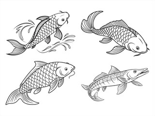 coloring page line art the carp black vector bundle