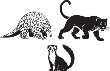 Black silhouette of pangolin panther and ferret on white background, pangolin, panther, ferret, animal, wildlife, silhouette, black and white, illustration, graphic, vector, mammal, wild, nature, crea