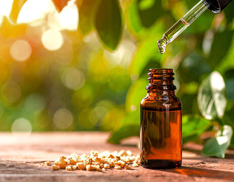 Amber glass bottle glass dropper pipette dropping a drop of Guggul (Commiphora mukul) essential oil, mukul myrrh tree leaves and frutis, resins wood Table, sun