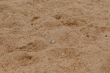 A textured view of sandy ground with small pebbles and footprints, showcasing a natural desert-like scene.