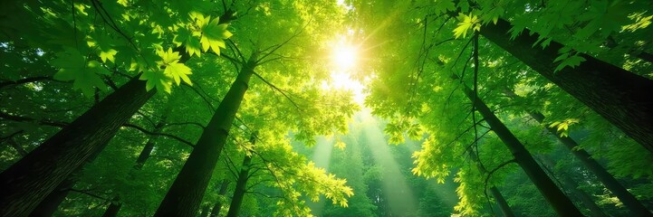 Lush green forest canopy, sunlight dappling through leaves, creating a vibrant and tranquil scene Perfect for nature, ecology, and environmental themes , wallpaper, forest, wildlife