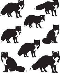 Black Arctic fox silhouette art