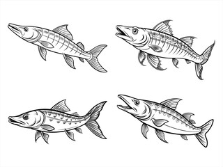 coloring page line art the pike black vector bundle