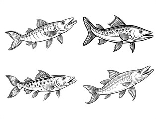 coloring page line art the pike black vector bundle