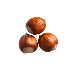 Three raw hazelnuts with brown shells on white background, isolated  