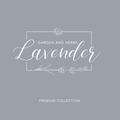 Lavender flower vector logo. Floral design label
