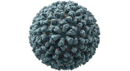 Close-up view of a virus structure.