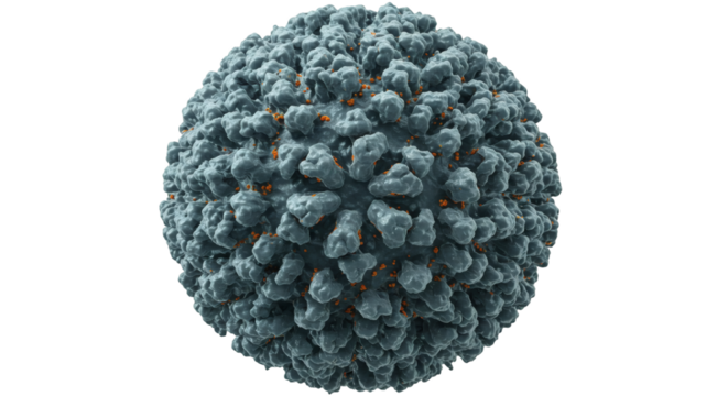 Close-up view of a virus structure.