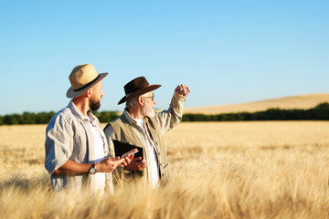 Farmers in field with ripe wheat outdoors, space for text
