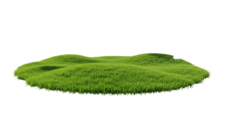 Isolated patch of grassy terrain.