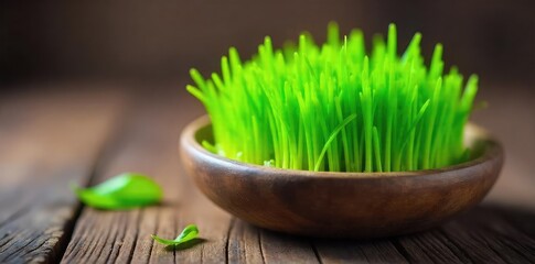 Vibrant green wheatgrass shoots, freshly grown and full of nutrients, displayed in a shallow, rustic wooden tray Ideal for health, wellness, and organic food content , wooden, herb