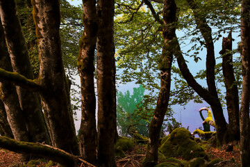 eau turquoise du lac Pavin, Auvergne