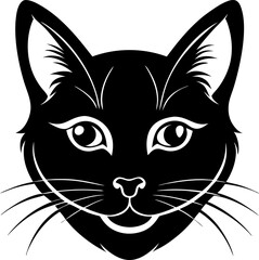 black and white cat face