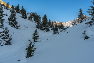 Paysage d' hiver dans la chaîne de Belledonne , Isère , France
