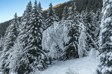 Paysage d' hiver dans la chaîne de Belledonne , Isère , France