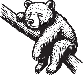 tired bear on a tree
