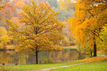 Autumn in the park. Wallpaper, background for season change