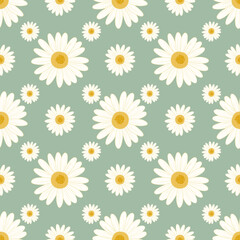 Daisy floral pattern on green background
