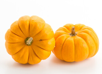 fresh pumpkin cartoon vector illustration of season vegetable garden plant 
