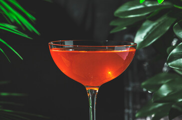 Refreshing orange cocktail combines mezcal, orange bitters, yellow liqueur and lime juice for a vibrant drink experience