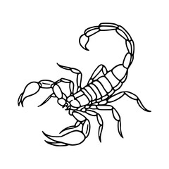 dessert dweller: scorpion art