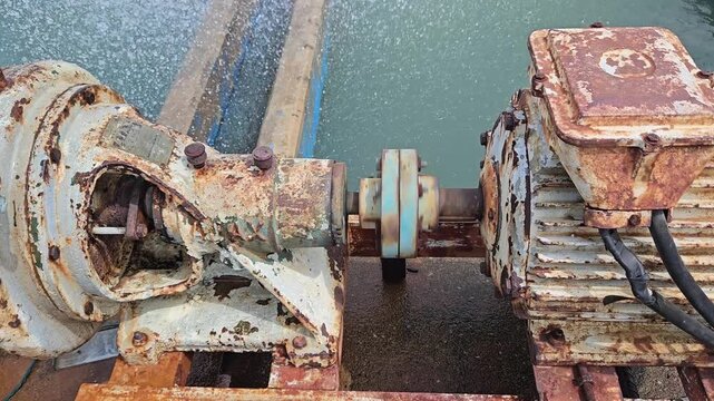 The rotating power shaft then drives the impeller, causing it to spin and move the water