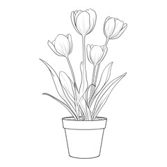Hand drawn tulips in a pot in black and white vintage style