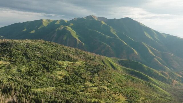Aerial view of majestic green mountains covered with lush forest, creating a textured landscape under a cloudy sky, Payson, Utah, United States.