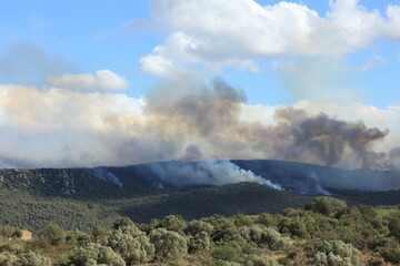 Rural fire spreads across French countryside