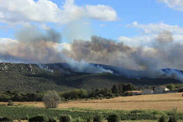 Fototapeta premium Thick smoke billows from a wildfire in the French countryside.