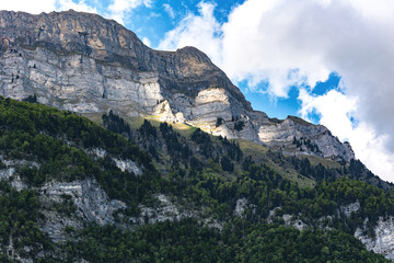 Mountain peak with trees, Switzerland, Canton St. Gallen, Swiss Alps, Hinterrugg mountain. Sunny day, clouds, mountain range. Hiking, tourism, travel destination, recreation.
