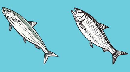 Obraz premium Bundle fish set art and illustrator eps 10 isolated on white background